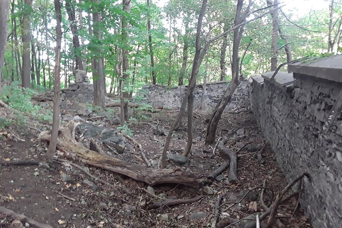Haunted Mountain - Following the lantern up Mount Royal