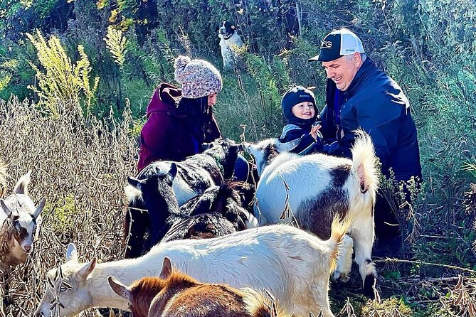 Haute Goat Shmurgle in Ontario - Key points at a glance