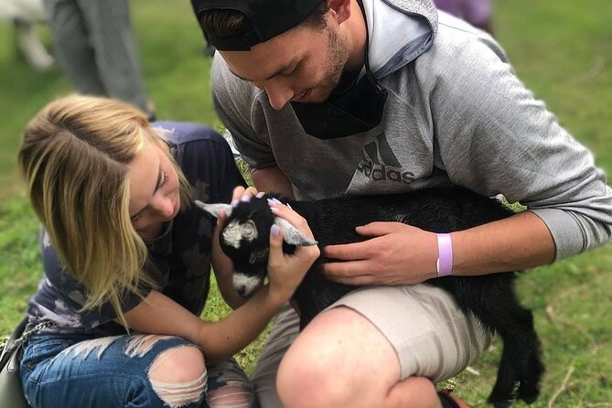 Haute Goat Shmurgle in Ontario - What Haute Goat Shmurgle is really like