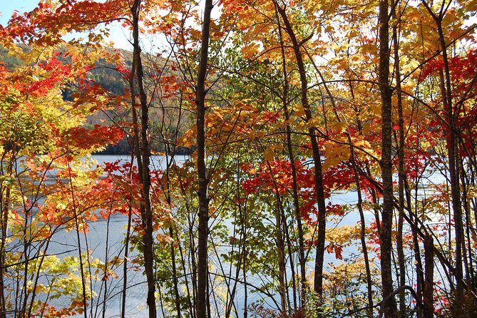 Highland Tours: Cabot Trail Excursion - Six People, Six Hours, and the Real Value