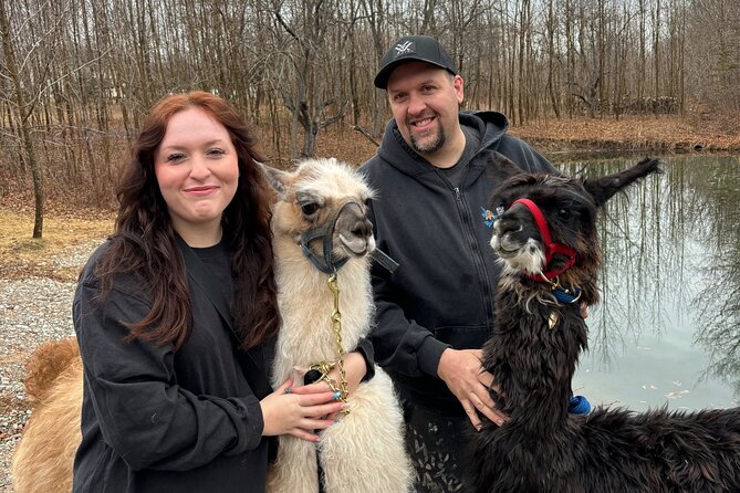 Hike & Lunch with Llamas - Key Details Before You Go