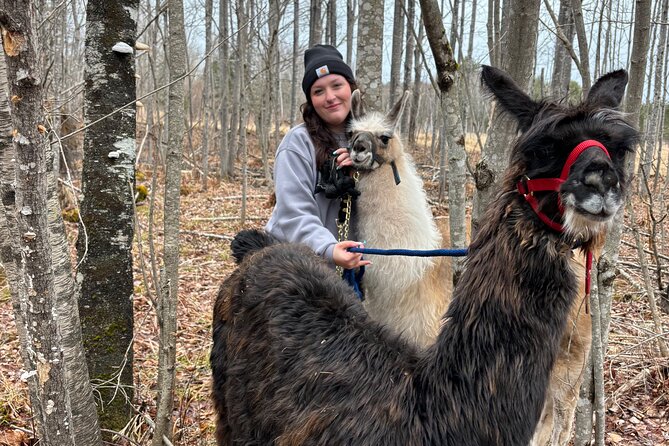 Hike & Lunch with Llamas - Arriving at 1072 Tripp Settlement Road
