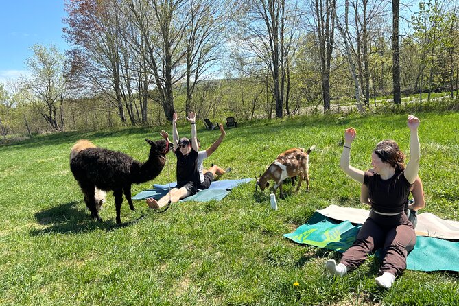 Hike & Lunch with Llamas - Weather, Cancellations, and Practical Planning