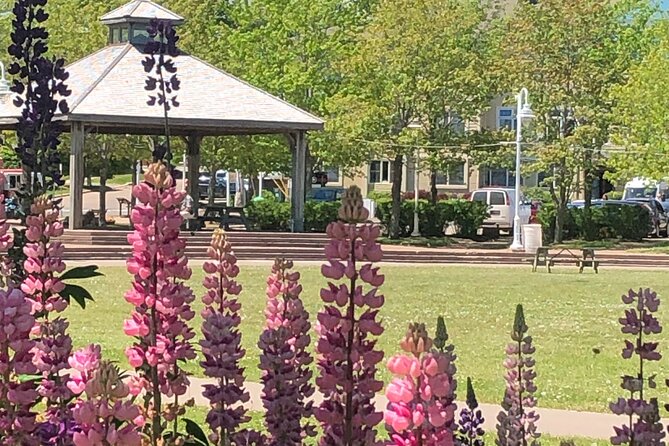 Historic Walking Tour of Charlottetown - What makes this Charlottetown walk worth your time