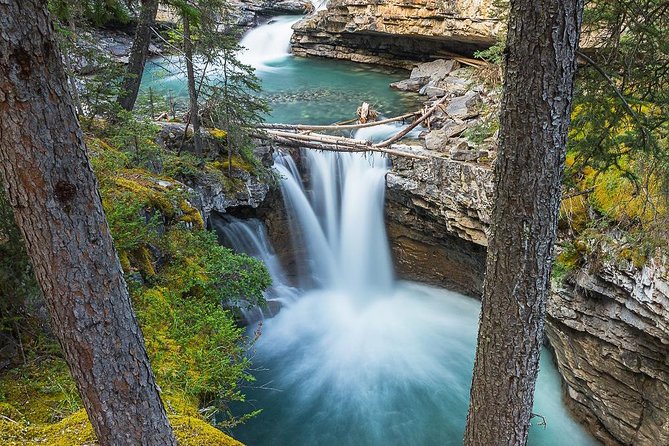 Hop-On and Hop-Off Banff Bus - The guides make the schedule easier to manage