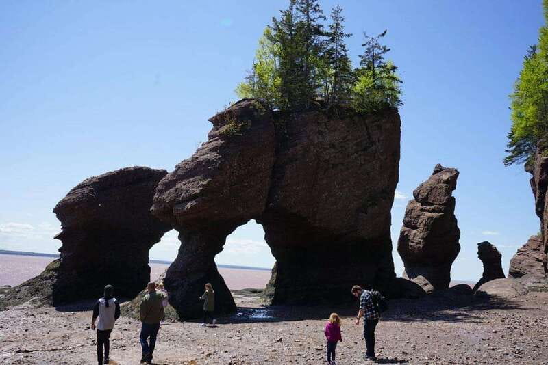 Hopewell Cape: Hopewell Rocks Admission - Why Hopewell Rocks is worth your time