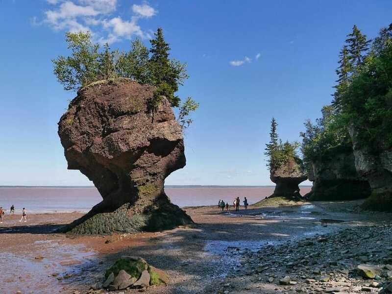 Hopewell Cape: Hopewell Rocks Admission - Look for the flowerpot characters