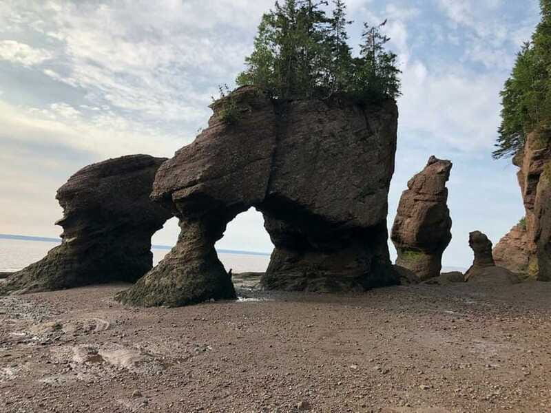 Hopewell Cape: Hopewell Rocks Admission - Small details that make a big difference