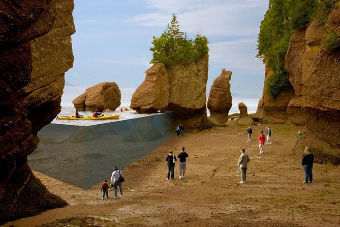 Hopewell Rocks Admission - Why Hopewell Rocks feels different