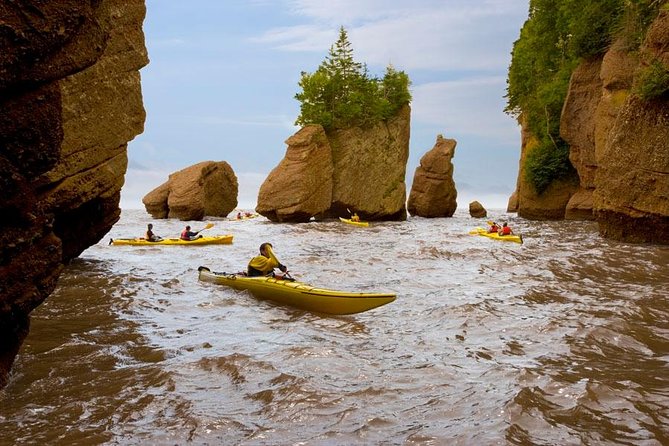 Hopewell Rocks Admission - Walking below the tide at low water