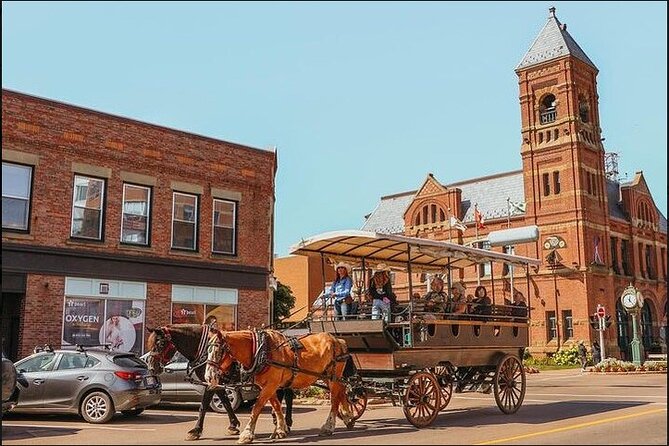 Horse Drawn Historical Guided Tour - Key points before you book