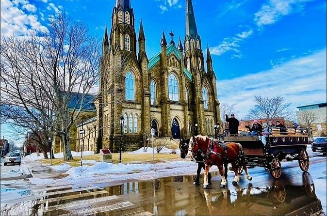 Horse Drawn Historical Guided Tour - Meeting at 6 Prince Street