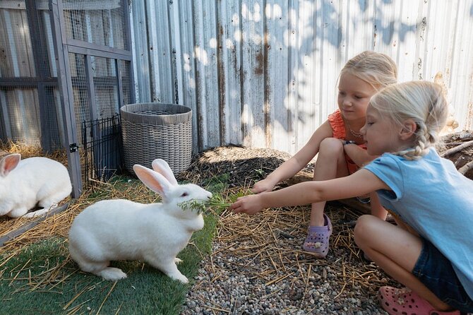 Humberstone Ranch Visit with Mini Domestic Animals - Guides who make the hour feel personal