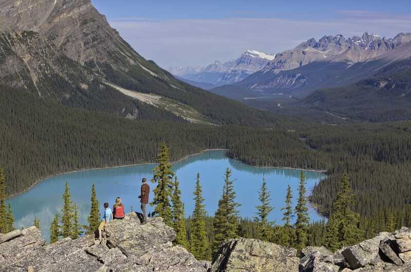 Icefield: Bow Lake, Columbia Icefield, Peyto Lake Day Tour - Who should book this Alberta day tour?