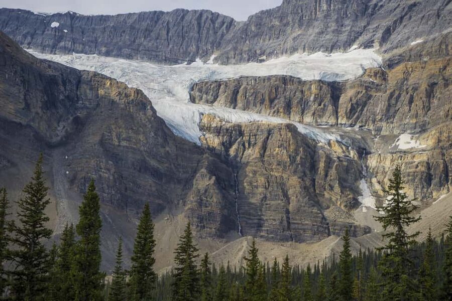 Icefield: Bow Lake, Columbia Icefield, Peyto Lake Day Tour - The Columbia Icefield and optional glacier time
