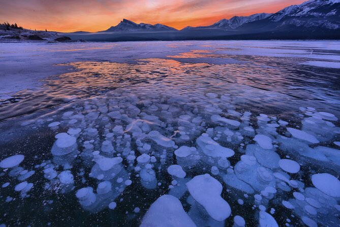 Icefields Parkway and Ice Bubbles of Abraham Lake Adventure - What you get for $196.40