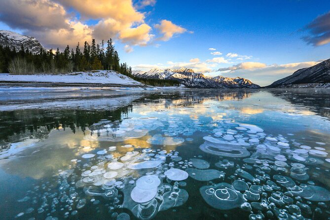 Icefields Parkway and Ice Bubbles of Abraham Lake Adventure - Who will enjoy this winter tour most