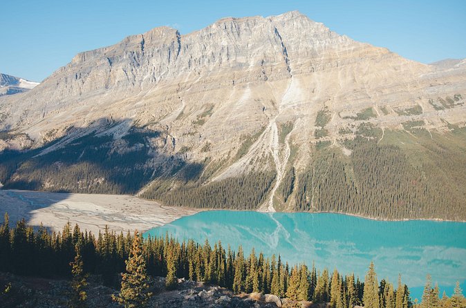 Icefields Parkway Experience - What the $153.40 price covers