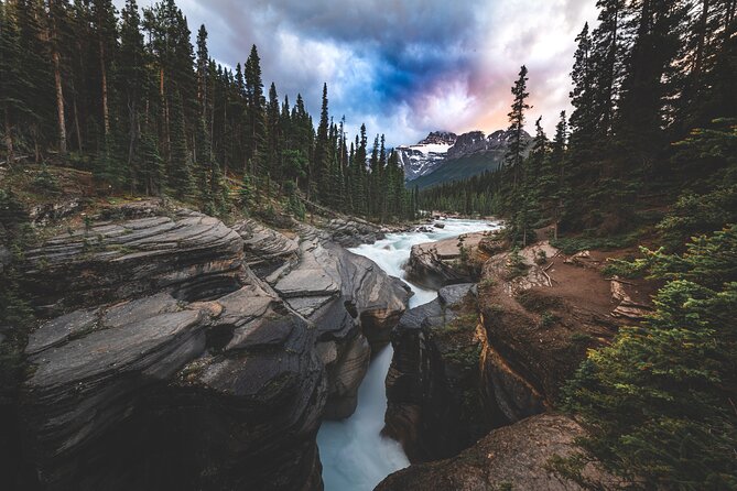 Icefields Parkway Highlights & Secrets | Award-Winning Adventure - Lunch, water, and the small-group vehicle