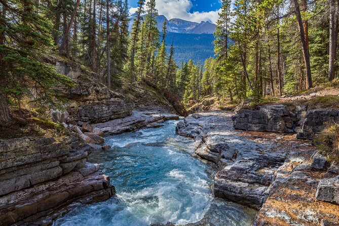 Icefields Parkway Self-Guided Driving Audio Tour - Price, app setup, and the one issue you should plan around