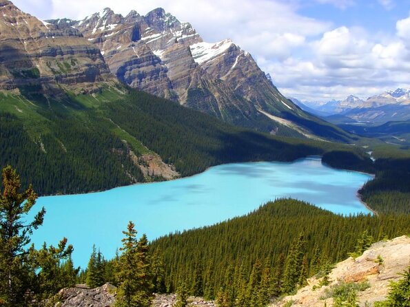 Icefields Pkwy: Lake Louise | Bow | Peyto|Glacier - PRIVATE TOUR - Key points to know before booking