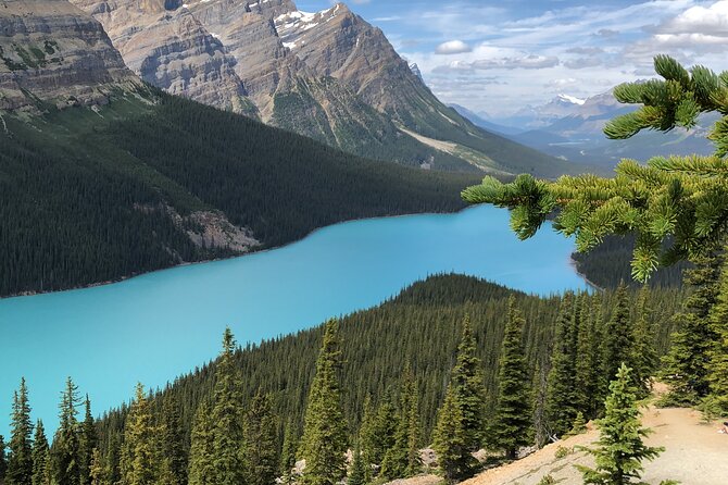 Icefields Pkwy: Lake Louise | Bow | Peyto|Glacier - PRIVATE TOUR - The Columbia Icefield Discovery Centre and the cost of extras