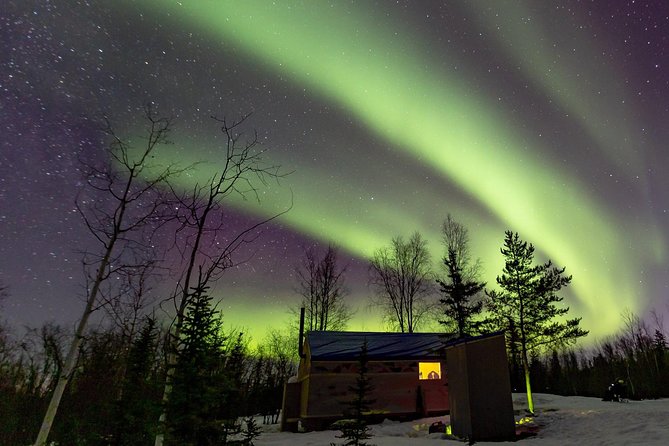 Intimate Aurora Tours Cozy Cabin Bucket List - A short ride into the boreal forest