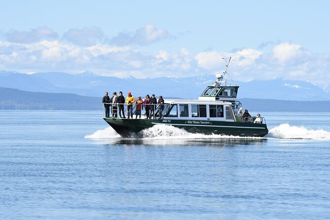Intimate West Coast Whale Watching - Partly-Sheltered - Setting out from Granville Island