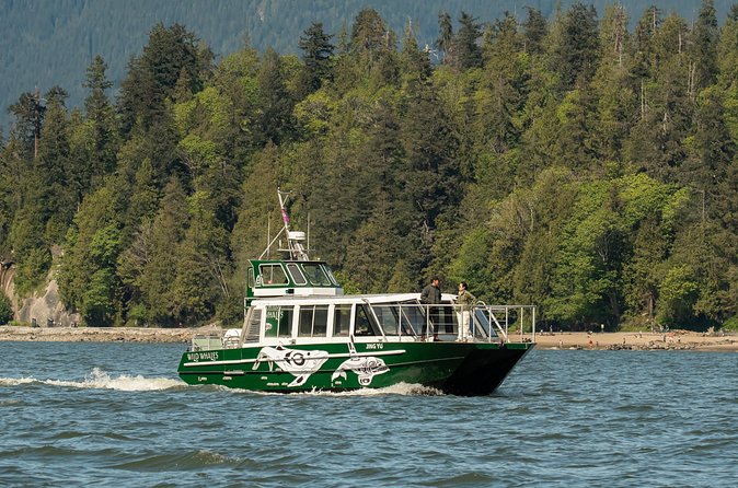 Intimate West Coast Whale Watching - Partly-Sheltered - Humpbacks, orcas, and the waiting game