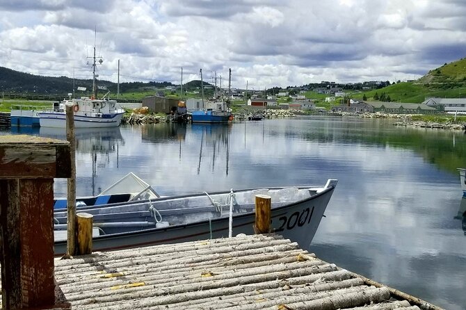 Irish Loop to Ferryland Tour - What the Irish Loop adds to a St. John’s visit