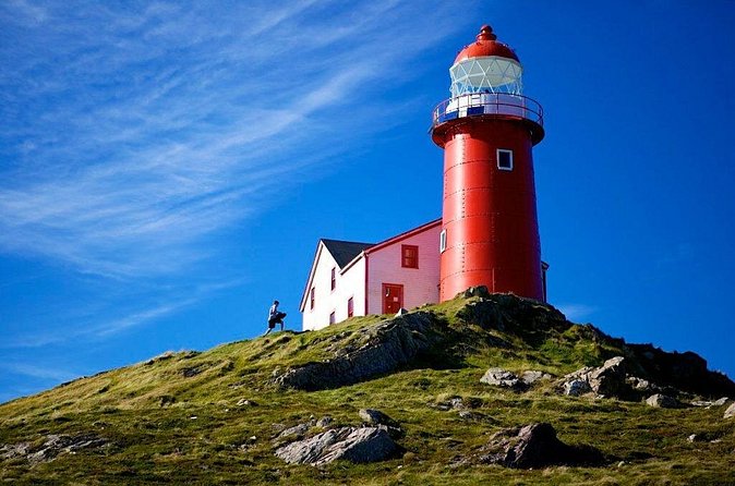 Irish Loop to Ferryland Tour - Guides, group size, and the feel of the day