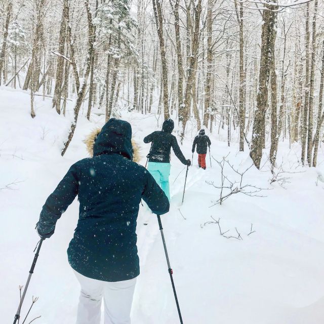 Jacques-Cartier National Park: Skiing Excursion - Why ski-shoeing works for first-time winter visitors