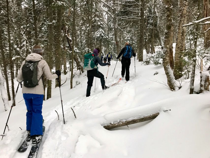 Jacques-Cartier National Park: Skiing Excursion - Who will enjoy this Quebec winter outing