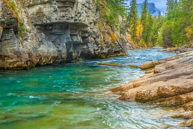 Jasper and Columbia Skywalk Icefield Parkway Private Day Tour - Athabasca Falls and Sunwapta Falls Break Up the Drive