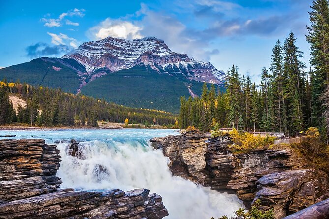 Jasper and Columbia Skywalk Icefield Parkway Private Day Tour - Peyto Lake Delivers the Famous Color