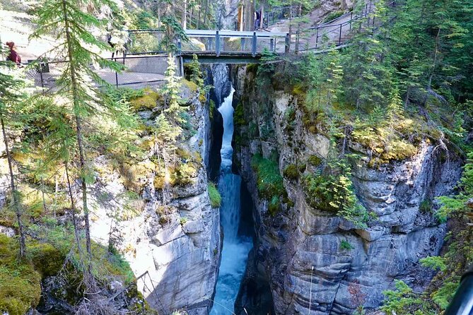 Jasper and Columbia Skywalk Icefield Parkway Private Day Tour - A Private Tour Can Be Worth the Price