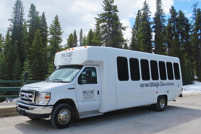 Jasper Evening Wildlife Tour - Is $65.49 a fair price?