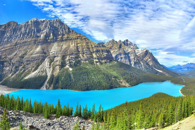 Jasper National Park 2-Day Tour: Maligne Lake & Columbia Icefield - Columbia Icefield: choosing between the Ice Explorer and Skywalk
