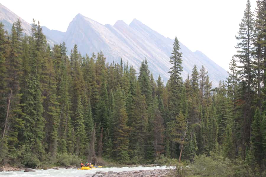Jasper National Park: Sunwapta River White Water Rafting - Key points to know before you book