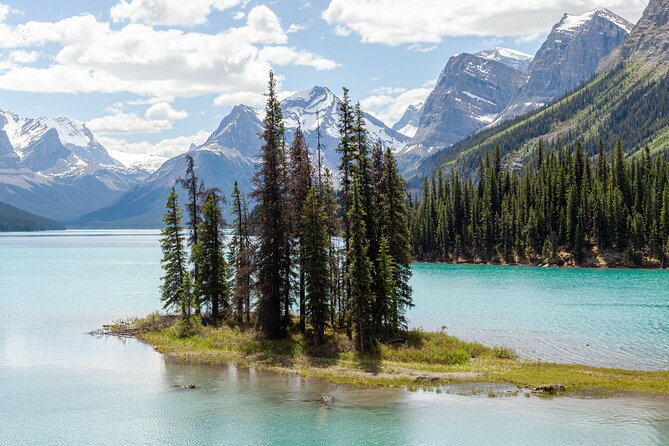 Jasper National Park Tour Maligne Valley, Medicine Lake with Walk - Wildlife, Weather, and the Value of a Good Guide