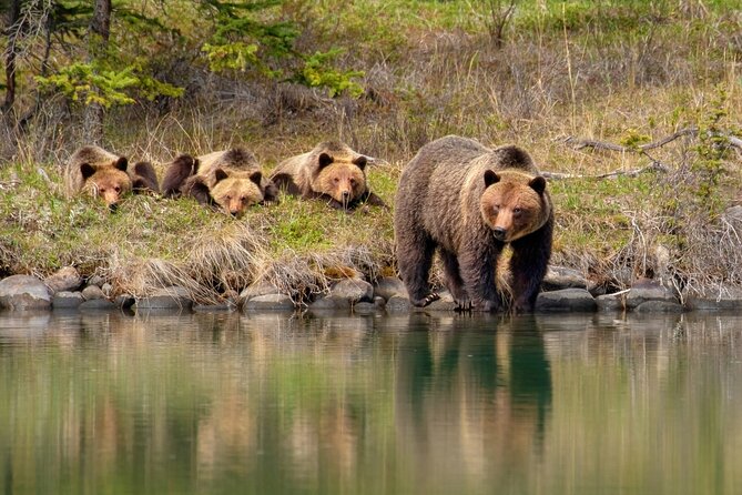 Jasper National Park Tour Maligne Valley, Medicine Lake with Walk - Practical Details for a Smoother Day