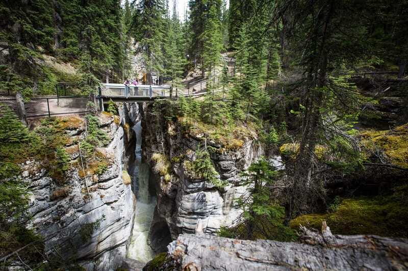 Jasper: Sightseeing Tour with Maligne Lake Cruise - The Maligne Lake cruise and Spirit Island