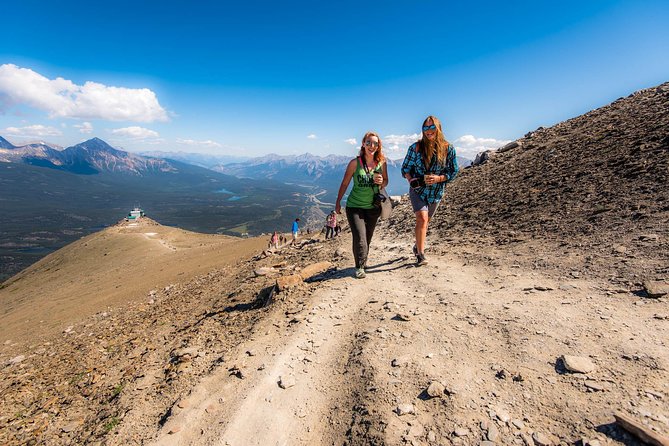 Jasper SkyTram - The 1.4-Kilometre Walk to Whistlers Summit