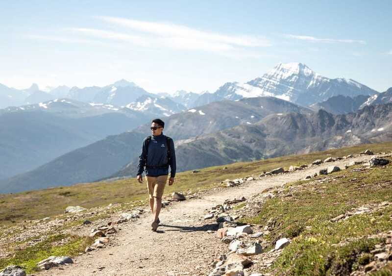 Jasper SkyTram Roundtrip Flight Ticket - Wildlife and interpretive panels above Jasper