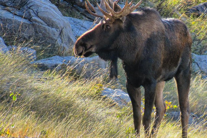Jasper to Banff One-Way Tour - Lunch, comfort, and the reality of a 10-hour day