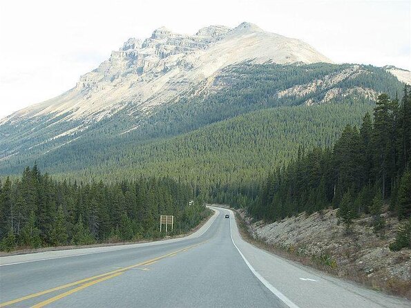 Jasper to Lake Louise One-Way Tour - Key points at a glance