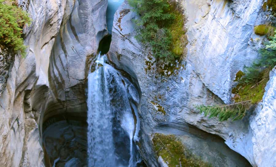 Jasper: Wildlife and Sightseeing Tour with Lakeshore Hike - Medicine Lake and its disappearing water