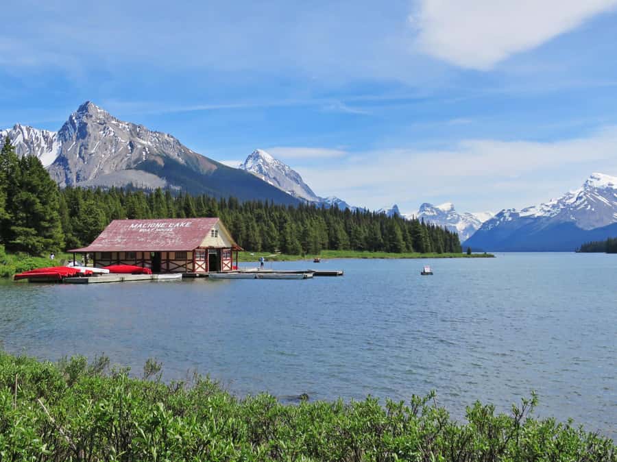 Jasper: Wildlife and Sightseeing Tour with Lakeshore Hike - Pickup details and what to bring