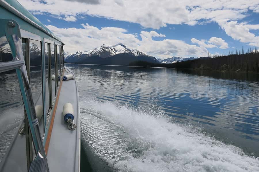 Jasper: Wildlife and Sightseeing Tour with Maligne Cruise - Who should book this Maligne Valley outing?