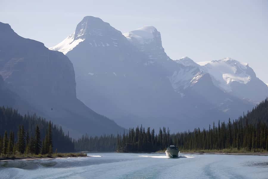 Jasper: Wildlife and Sightseeing Tour with Maligne Cruise - Seeing the 2024 wildfire up close